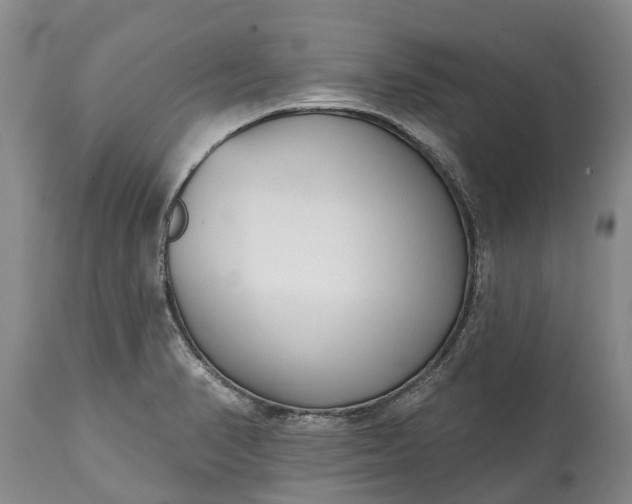 X0000115011374200911091411