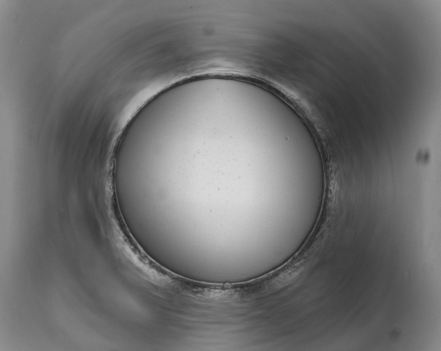 X0000115011375200911091411