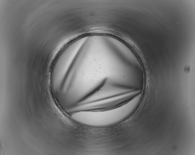 X0000115011376200911091411