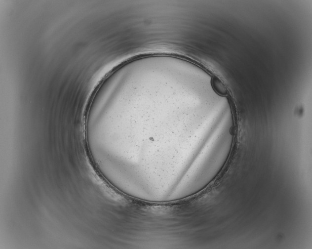 X0000115011380200911091411