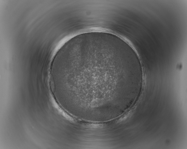 X0000115011381200911091411