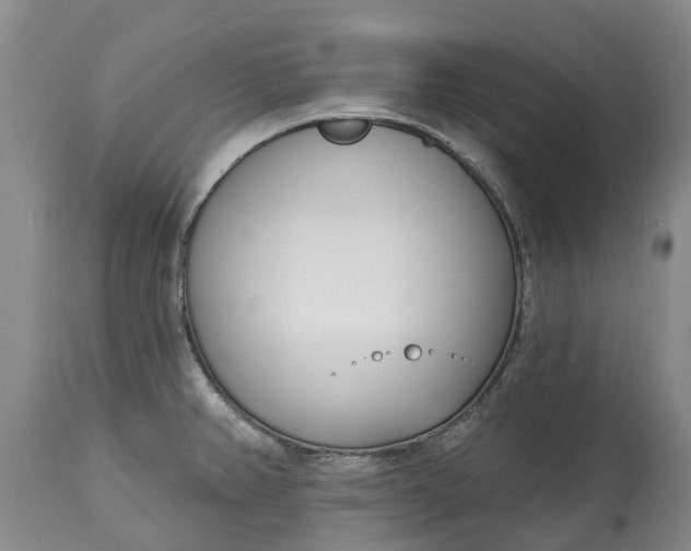 X0000115011382200911091411