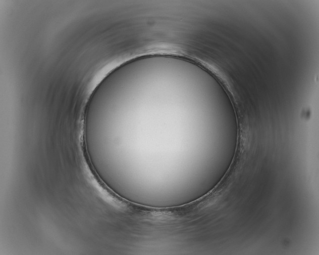 X0000115011383200911091411