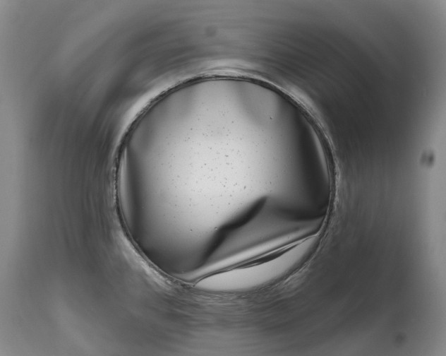 X0000115011384200911091411