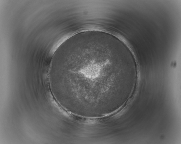 X0000115011385200911091411
