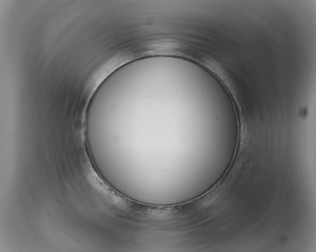 X0000115011386200911091411
