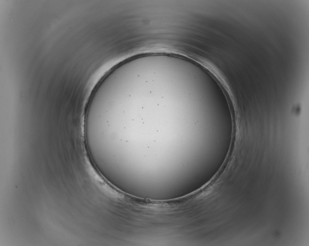 X0000115011388200911091411