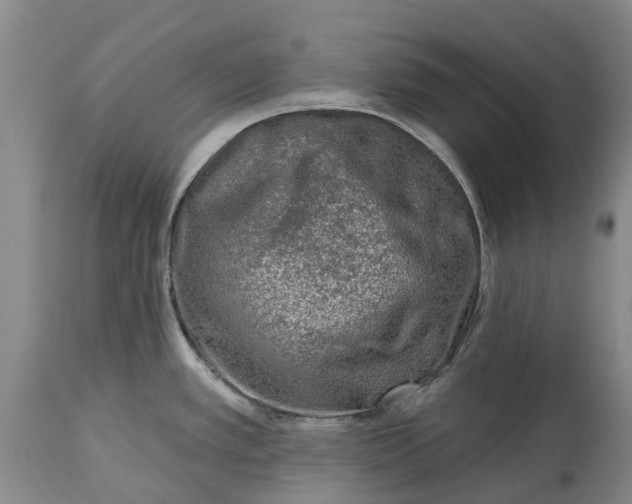 X0000115011389200911091411