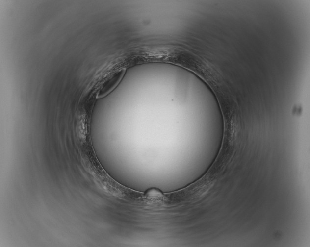 X0000115011394200911091410