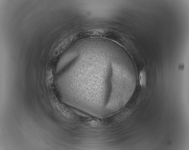 X0000115011395200911091410