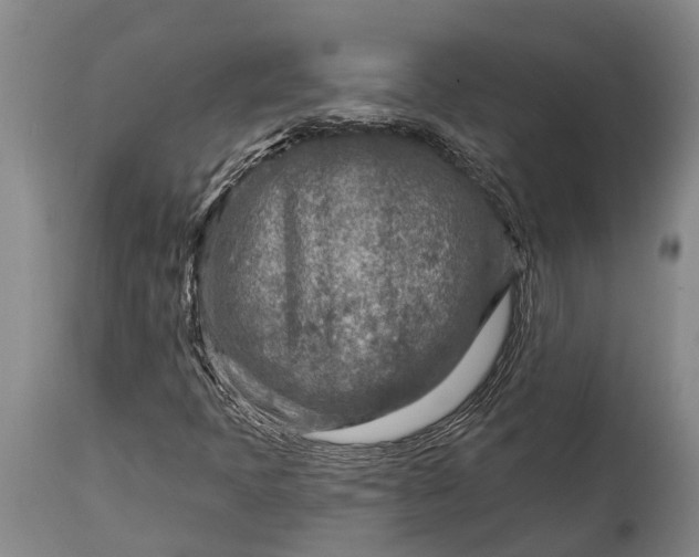 X0000115011397200911091410