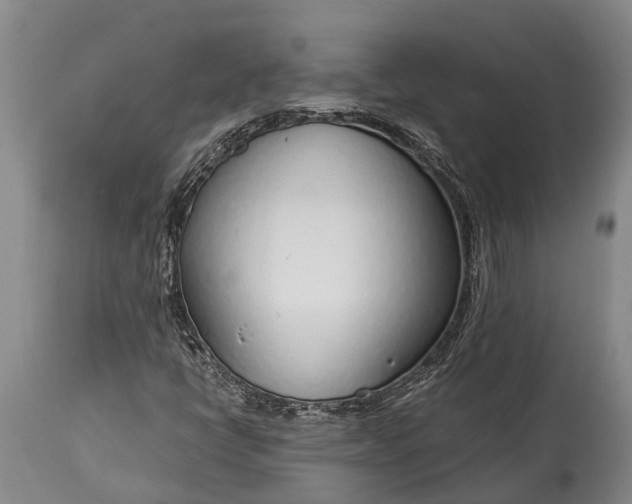 X0000115011398200911091410