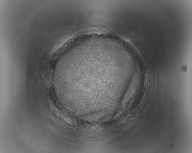 X0000115011399200911091410