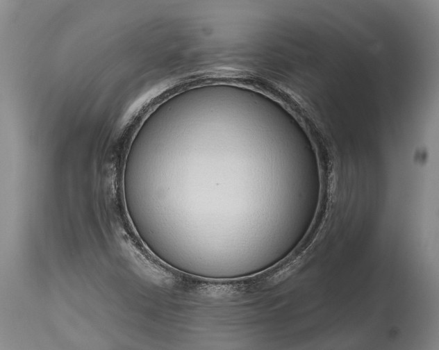 X0000115011402200911091410