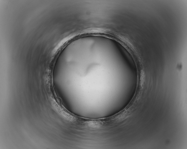X0000115011404200911091410