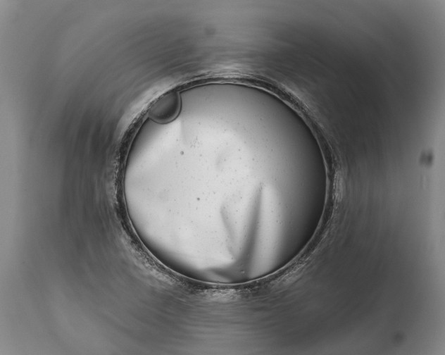 X0000115011410200911091410