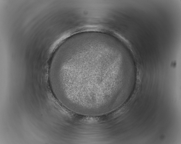 X0000115011411200911091410