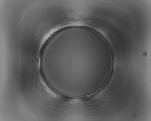 X0000115011414200911091410