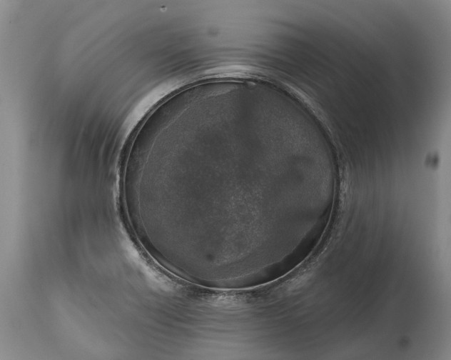 X0000115011418200911091410