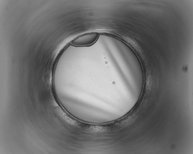 X0000115011420200911091410
