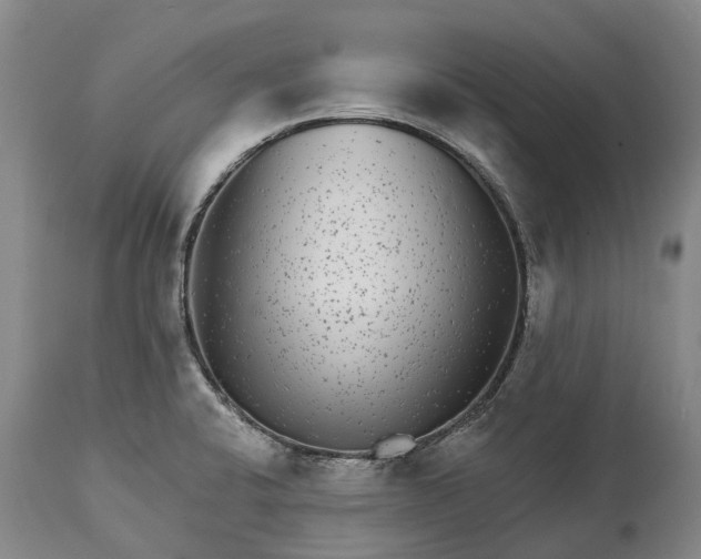 X0000115011424200911091411