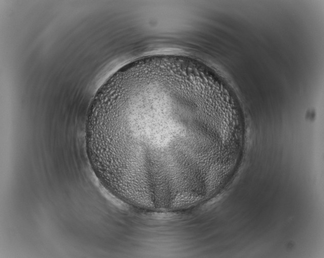 X0000115011425200911091411