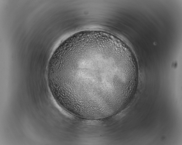 X0000115011429200911091411
