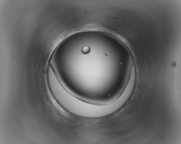 X0000115011431200911091411