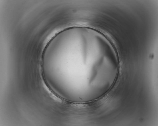 X0000115011432200911091411