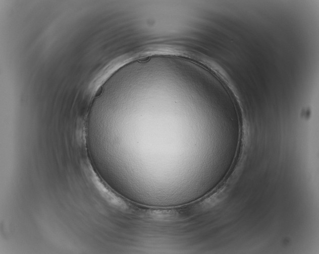 X0000115011433200911091411