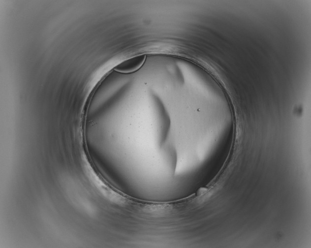 X0000115011434200911091411