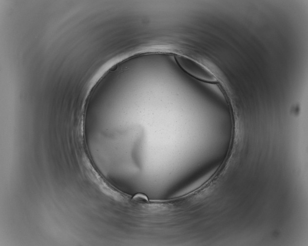 X0000115011436200911091411