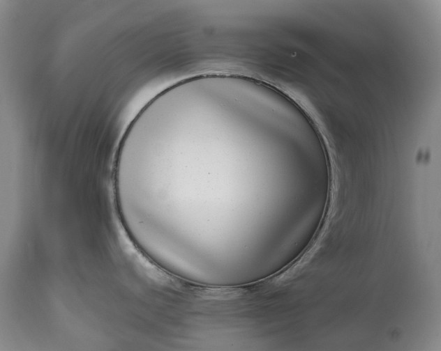 X0000115011440200911091411