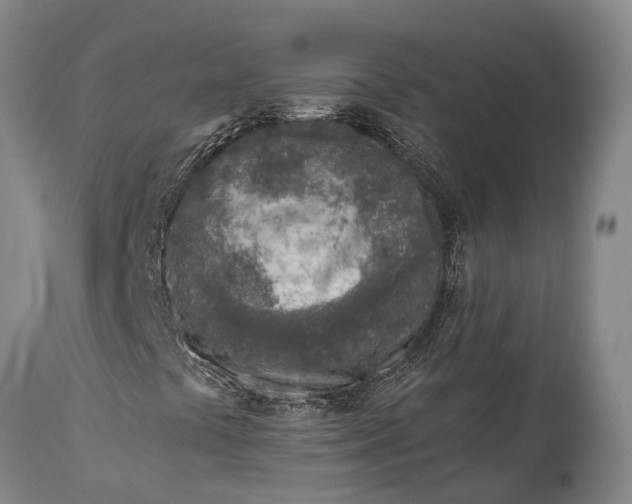X0000115011441200911091410
