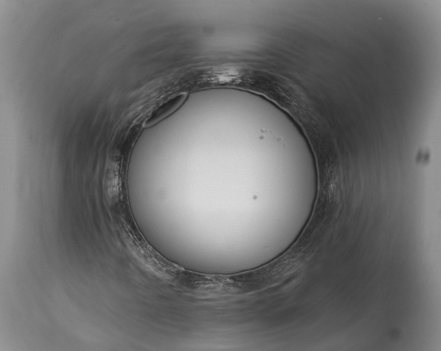 X0000115011442200911091410