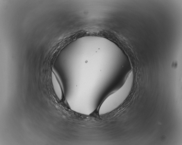 X0000115011445200911091410