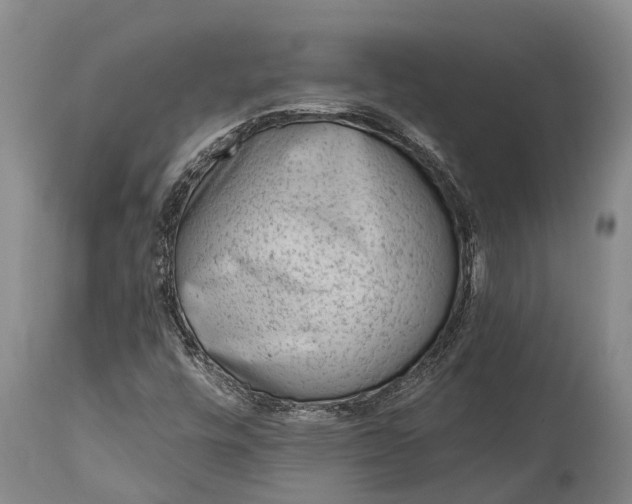 X0000115011448200911091410