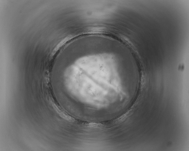 X0000115011449200911091410