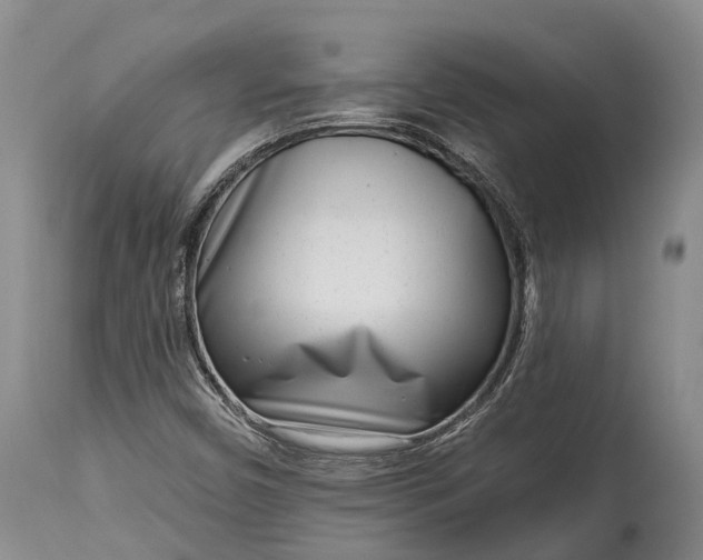 X0000115011450200911091410