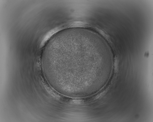 X0000115011453200911091410