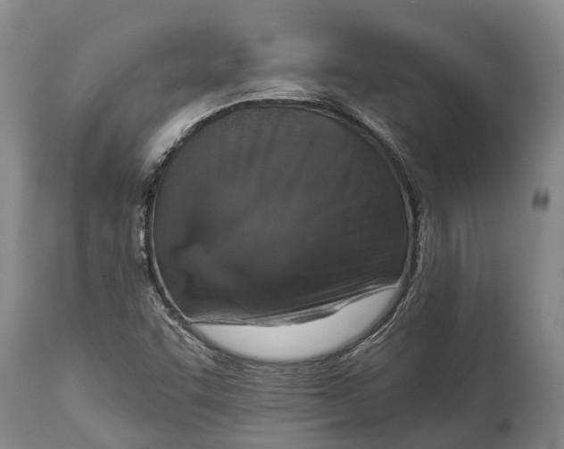 X0000115011455200911091410