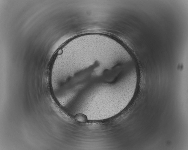 X0000115011458200911091410