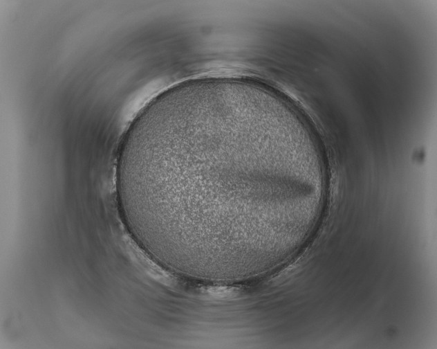 X0000115011459200911091410