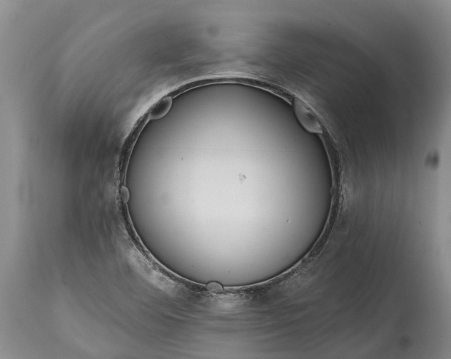 X0000115011460200911091410