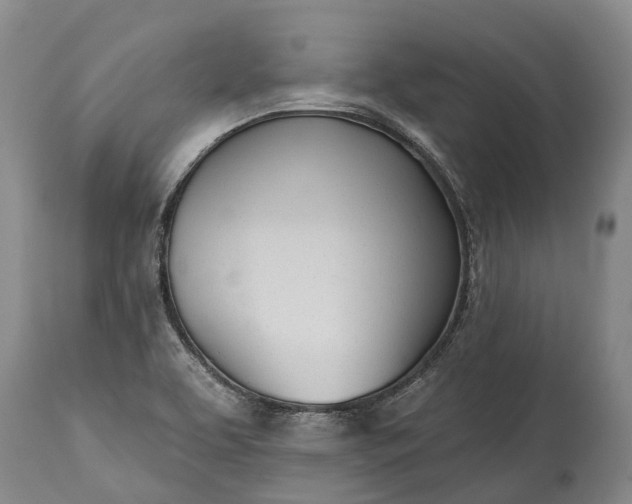 X0000115011463200911091410