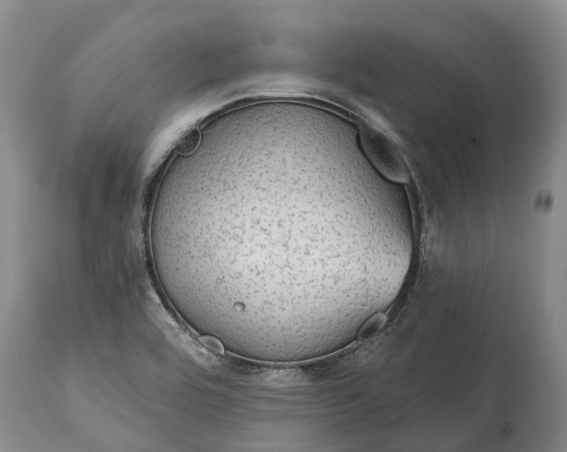 X0000115011464200911091410