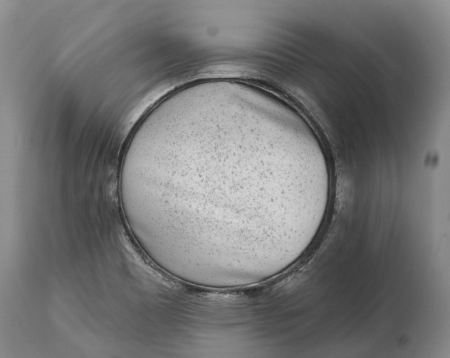 X0000115011465200911091410