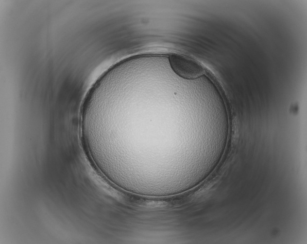 X0000115011467200911091410