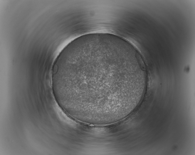 X0000115011468200911091410