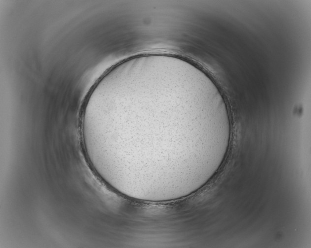 X0000115011470200911091410
